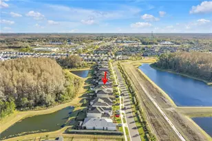 2900 Lilla Trl, Odessa, FL 33556 - Photo 52