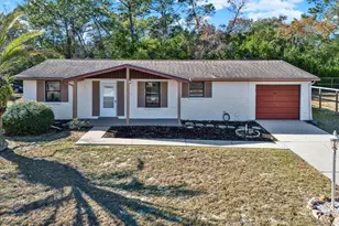 4357 Cartee Ave, Spring Hill, FL 34608 - Photo 1