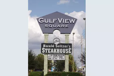 11410 Carriage Hill  #1 Drive, Port Richey, FL 34668 - Photo 60