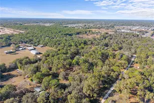 18625 Deason Dr, Spring Hill, FL 34610 - Photo 34