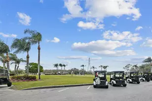 208 Palmetto Ct, Oldsmar, FL 34677 - Photo 50