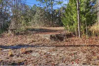 3700 W Glen Street, Lecanto, FL 34461 - Photo 4