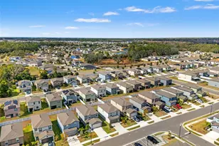 6744 Back Forty Loop, Zephyrhills, FL 33541 - Photo 50