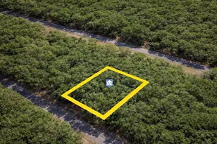 1628 E Badger Dr, Dunnellon, FL 34434 - Photo 1