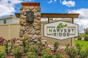 37445 Sharks Eye Ln, Zephyrhills, FL 33541 - Photo 2