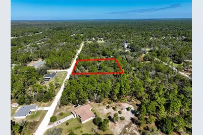 Lot 7 Nuthatch Road, Weeki Wachee, FL 34614 - Photo 8