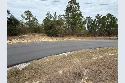 4143 W Dorchester Circle, Dunnellon, FL 34433 - Photo 4