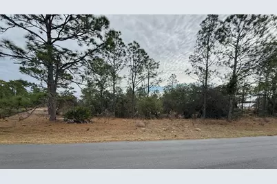 4143 W Dorchester Circle, Dunnellon, FL 34433 - Photo 1