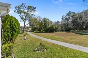 29314 Princeville Dr, San Antonio, FL 33576 - Photo 32