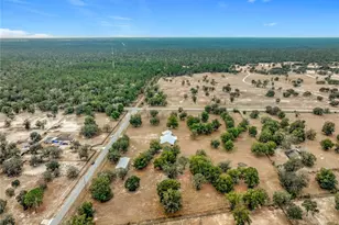 540 NW 165th Ct Rd, Dunnellon, FL 34432 - Photo 80