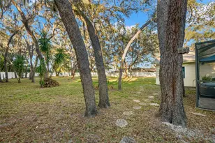 12005 Wren Ct, New Port Richey, FL 34654 - Photo 30