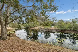 9732 Casey Dr, New Port Richey, FL 34654 - Photo 38