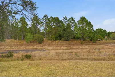 4521 Bayridge Court, Spring Hill, FL 34606 - Photo 32