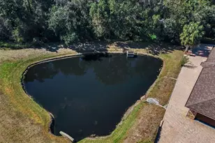 5747 Fieldspring Ave, New Port Richey, FL 34655 - Photo 78