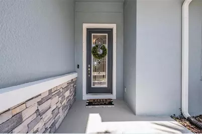 4374 Broad Porch Run, Land O Lakes, FL 34638 - Photo 6