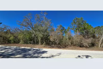 13231 Road Runner Avenue, Weeki Wachee, FL 34614 - Photo 1