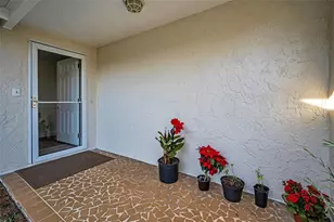 817 Riverside Dr, Tarpon Springs, FL 34689 - Photo 4