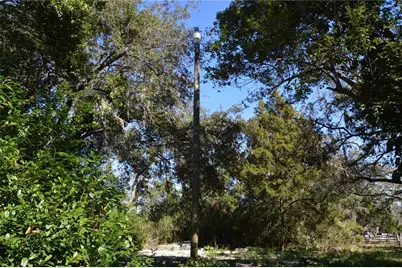 18117 Branch Road, Hudson, FL 34667 - Photo 10