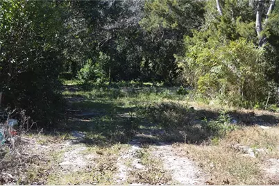 18117 Branch Road, Hudson, FL 34667 - Photo 20