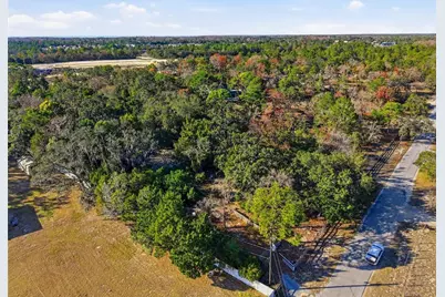 18117 Branch Road, Hudson, FL 34667 - Photo 14