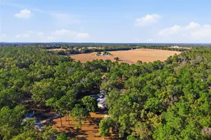 27047 Hiawatha Blvd, Brooksville, FL 34601 - Photo 42