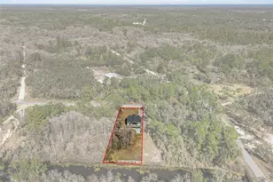 7235 N Canal St, Ridge Manor Estates, FL 33597 - Photo 84