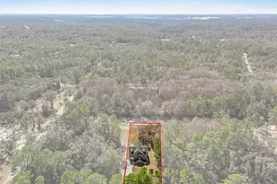 7235 N Canal St, Ridge Manor Estates, FL 33597 - Photo 86