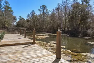 7235 N Canal St, Webster, FL 33597 - Photo 74