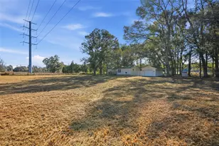 25256 Richbarn Rd, Brooksville, FL 34601 - Photo 28
