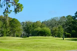 11931 Bayonet Ln, New Port Richey, FL 34654 - Photo 20