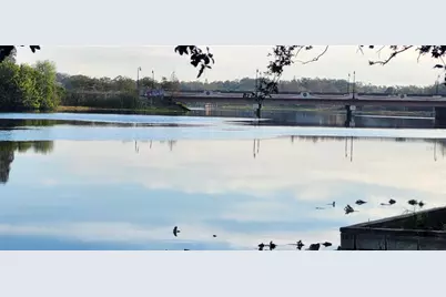 3606 River Grove Drive, Tampa, FL 33610 - Photo 42