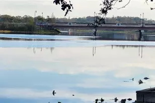 3606 River Grove Dr, Tampa, FL 33610 - Photo 42