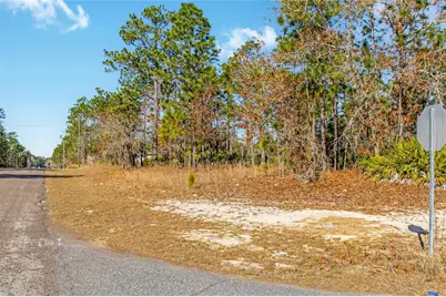 6932 N Glenridge Circle, Citrus Springs, FL 34434 - Photo 14