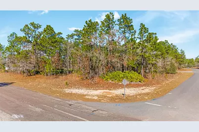 6932 N Glenridge Circle, Citrus Springs, FL 34434 - Photo 4