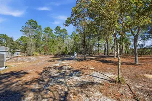 17402 Maberly Rd, Weeki Wachee, FL 34614 - Photo 50