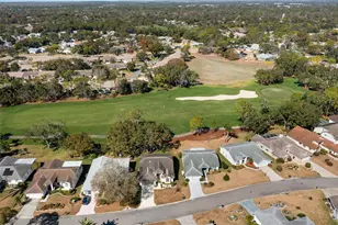 8009 Blue Skies Dr, Spring Hill, FL 34606 - Photo 48