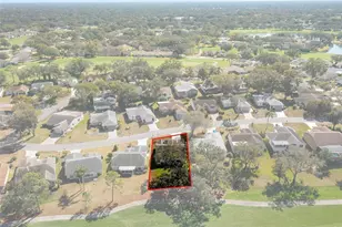 8009 Blue Skies Dr, Spring Hill, FL 34606 - Photo 52