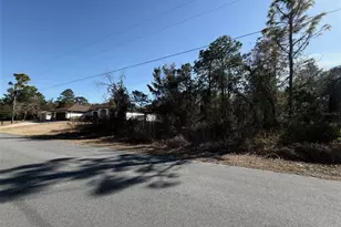 0 Godwit Ave, Weeki Wachee, FL 34613 - Photo 1