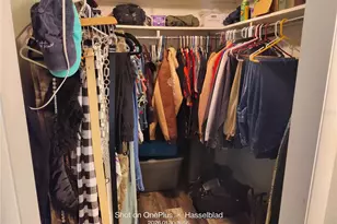 12131 Lacey Dr, New Port Richey, FL 34654 - Photo 14