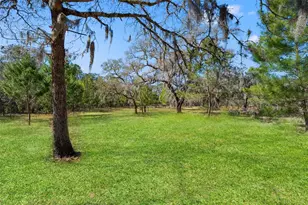 12222 Beagle Rd, Hudson, FL 34667 - Photo 44