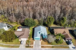 9407 Calle Alta, New Port Richey, FL 34655 - Photo 4