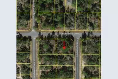 6714 N Airmont Drive, Dunnellon, FL 34433 - Photo 4
