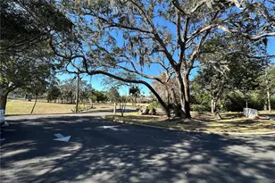 8205 Valley Stream Ln, Hudson, FL 34667 - Photo 50