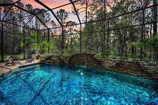 10709 Watula Ct, New Port Richey, FL 34655 - Photo 2