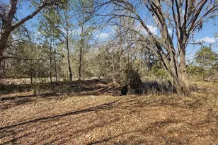 24420 Lanark Rd, Brooksville, FL 34601 - Photo 36