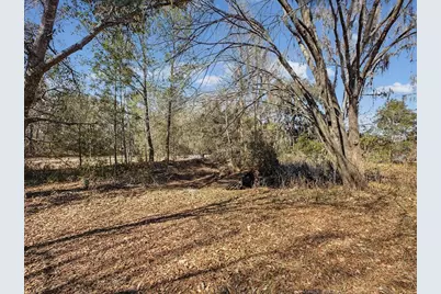 24420 Lanark Road, Brooksville, FL 34601 - Photo 38