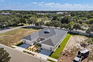 199 E Live Oak St, Tarpon Springs, FL 34689 - Photo 42