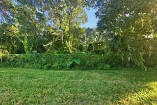 4914 Sherrell Dr, Holiday, FL 34690 - Photo 8