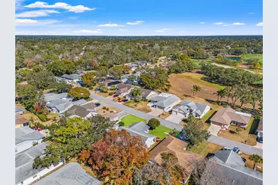 3119 Saw Mill Lane, Spring Hill, FL 34606 - Photo 52