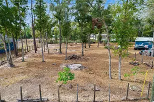 5710 NE 140th Ct, Williston, FL 32696 - Photo 40